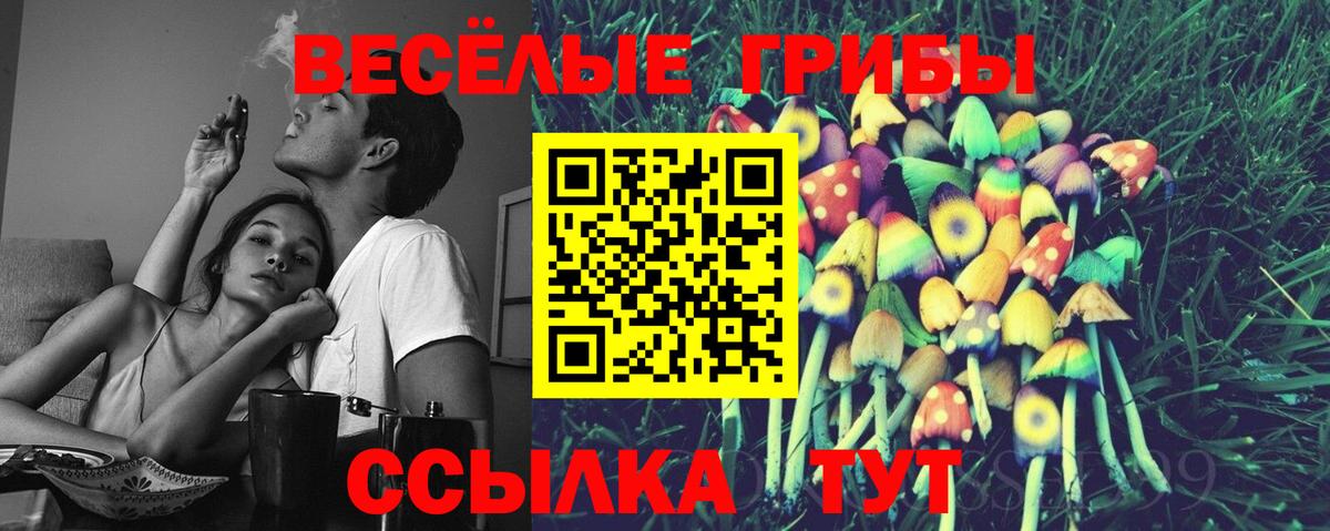 Псилоцибиновые грибы GOLDEN TEACHER Тула