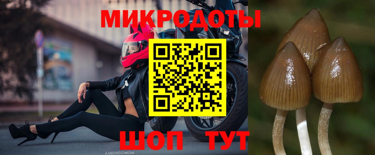 Галлюциногенные грибы мухоморы  Вход с VPN  Тула  Псилоцибиновые грибы MAGIC MUSHROOMS 